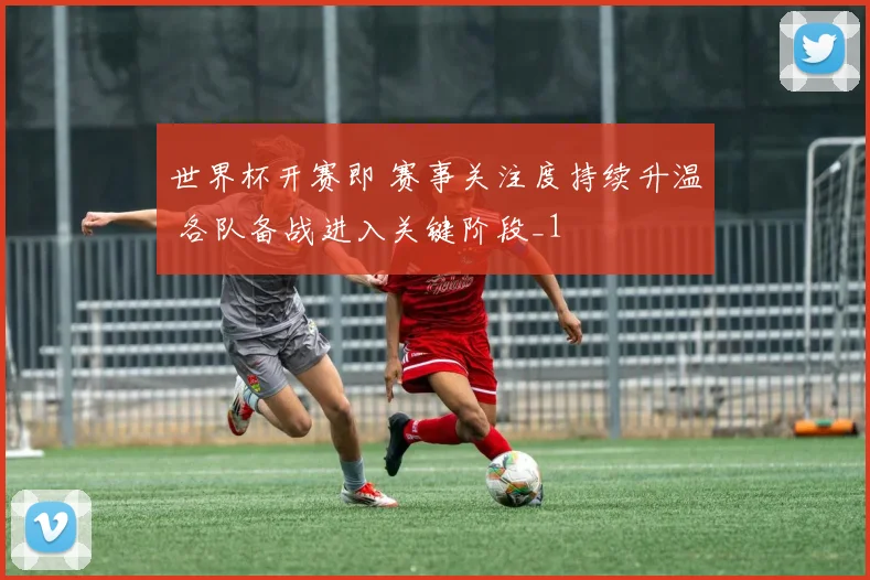 世界杯开赛即 赛事关注度持续升温 各队备战进入关键阶段_1
