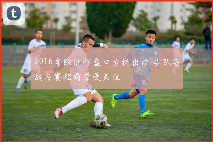 2016年欧洲杯盘口分析出炉 各队备战与赛程前景受关注