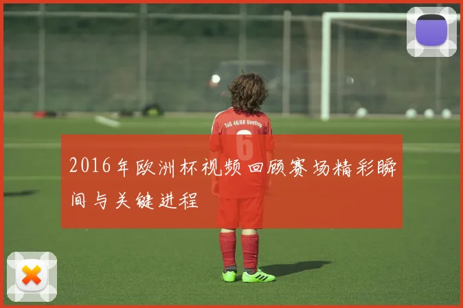 2016年欧洲杯视频回顾赛场精彩瞬间与关键进程