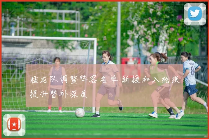 猛龙队调整阵容名单 新援加入轮换提升替补深度
