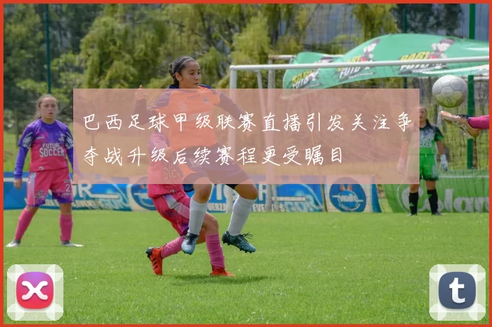 巴西足球甲级联赛直播引发关注争夺战升级后续赛程更受瞩目