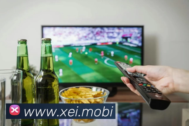 开云网页版·官方版在线登入 - 开云(中国)平台生态图